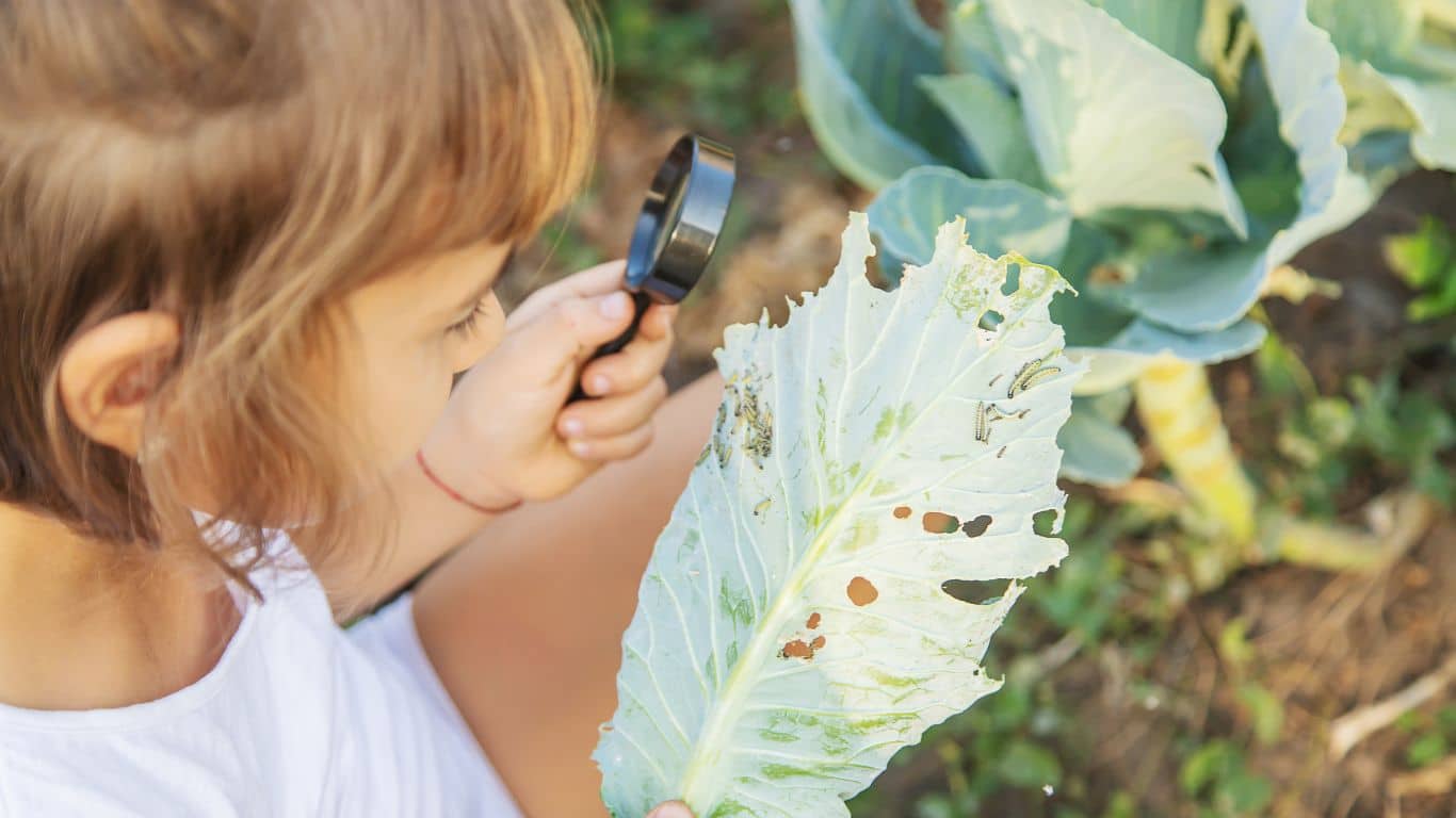 de natuur in met je kind
